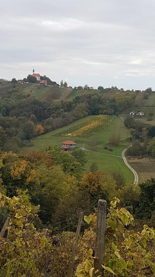 Kuca Za Odmor Nina Villa Sveti Martin Na Muri Bagian luar foto